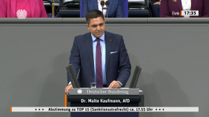 TOP 15 Sanktionsstrafrecht