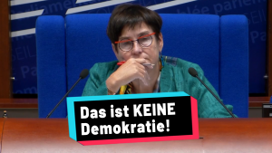 Europarat Zwischenintervention